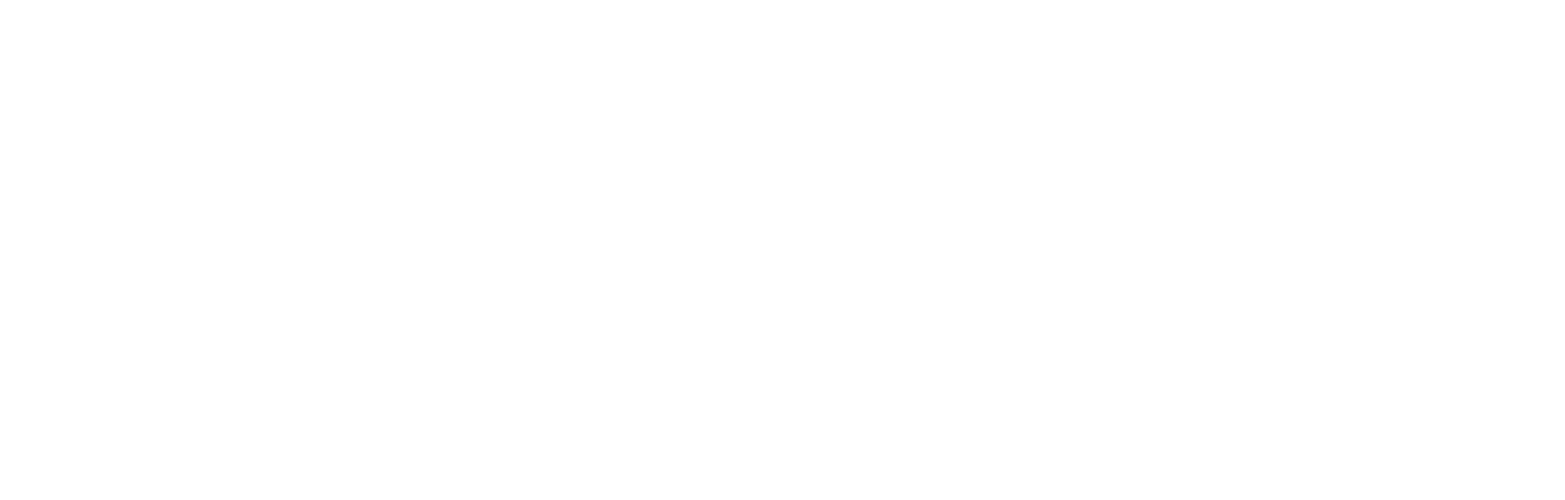 Logo_IRENIS_Videos